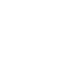 +8613910410698